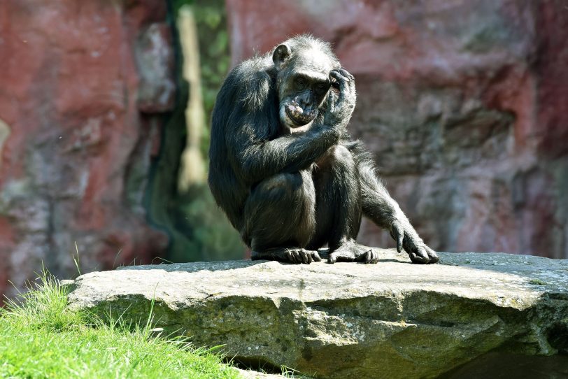 Tierwelt in der Zoom Erlebnis-Welt.