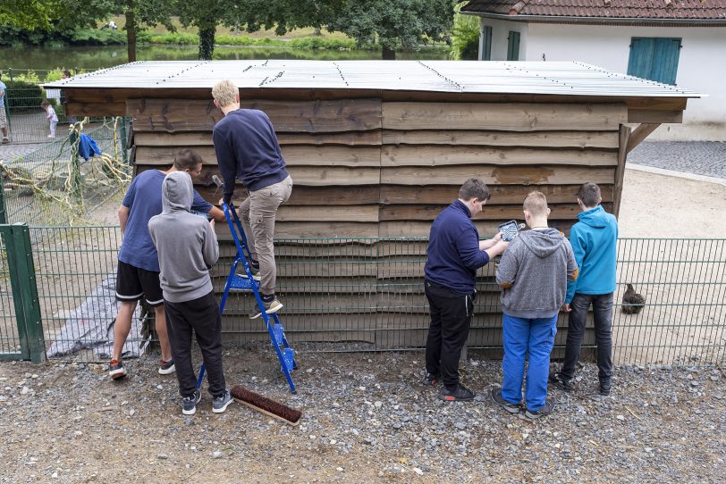 Streichaktion der Jugendfeuerwehr Herne im Streichelzoo im Revierpark Gysenberg in Herne (NW), am Sonntag (14.07.2019). Jugendliche und Betreuer haben die Holzunterstände der Tiere ausgemistet und anschließend gestrichen.