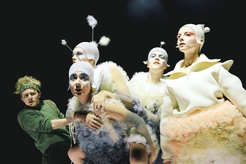 Nils (Jakob Schmidt), Akka (Danai Chatzipetrou), Kolme (Marlene Helling) und Martin (Linde Dercon, v.l.) begeistern in „Nils Holgersson“ am Schauspielhaus Bochum.