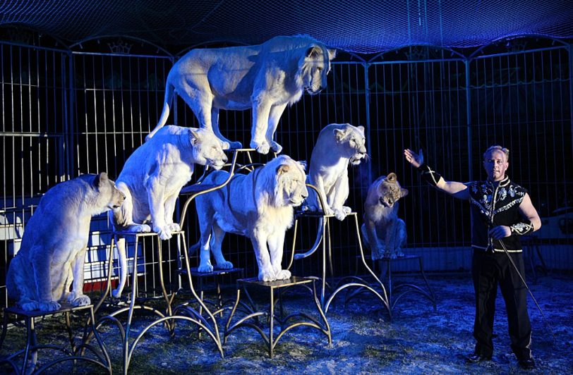 Circus Probst