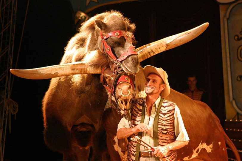 Circus Probst