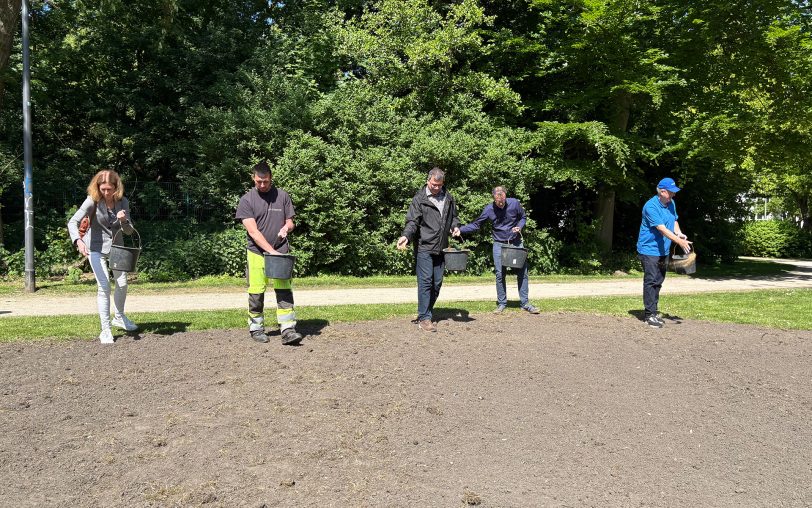 Gleichmäßig in einer Reihe: Im Park am Schloss Strünkede haben der Rotary Club Herne und der Fachbereich Stadtgrün einen neuen Blühstreifen angelegt und Saatgut gepflanzt. Ex-Kämmerer Hans Werner Klee (re.) vom Rotary Club packte mit an.