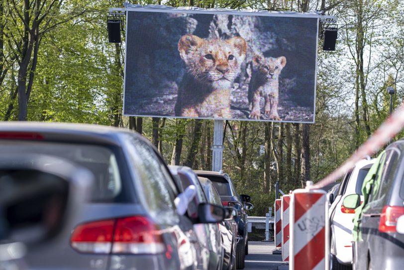 Karfreitag 2020 startete das Autokino am Gysenberg mit dem König der Löwen. 2021 beginnt die Reihe Gründonnerstag mit dem Familienfilm: Aladdin.