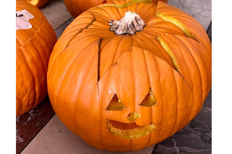 Das Herbstfest der OASE Wanne unterstützten die Rotarier nicht nur finanziell – sie halfen auch beim Kürbisschnitzen tatkräftig mit.