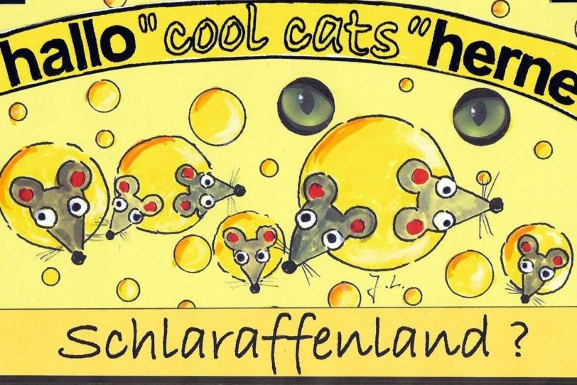 Coolcats im Schlaraffenland.