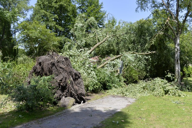 Sturmschäden in Herne.