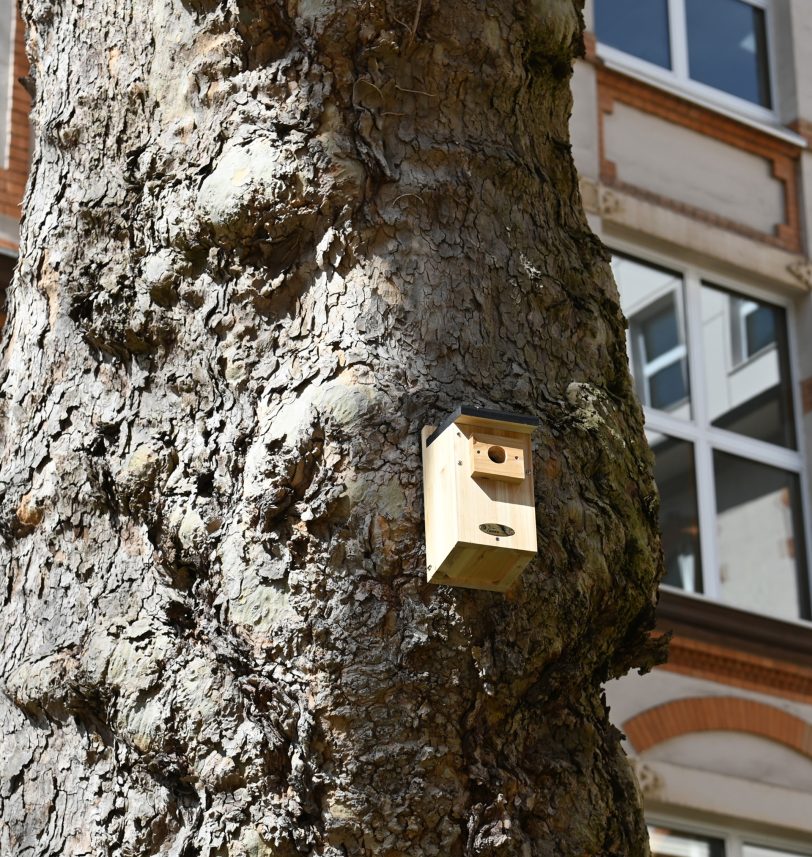 Ein Vogelhaus.