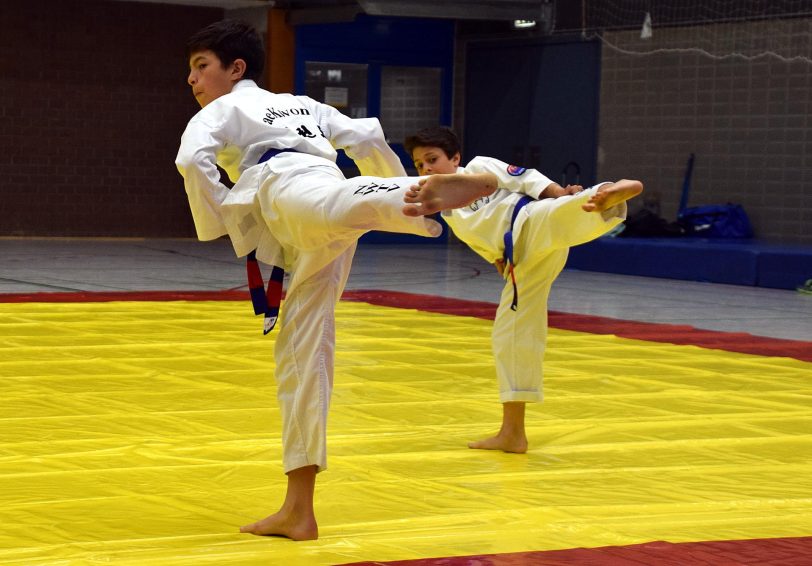 DM-Titelkämpfe im Taekwon-Do in Wanne.