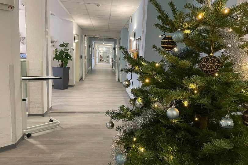 Weihnachtliche Atmosphäre: Auf den Gängen stehen mehrere geschmückte Weihnachtsbäume.