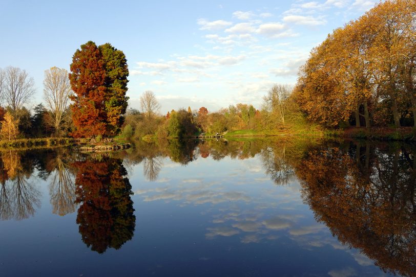 Herbstimpressionen.