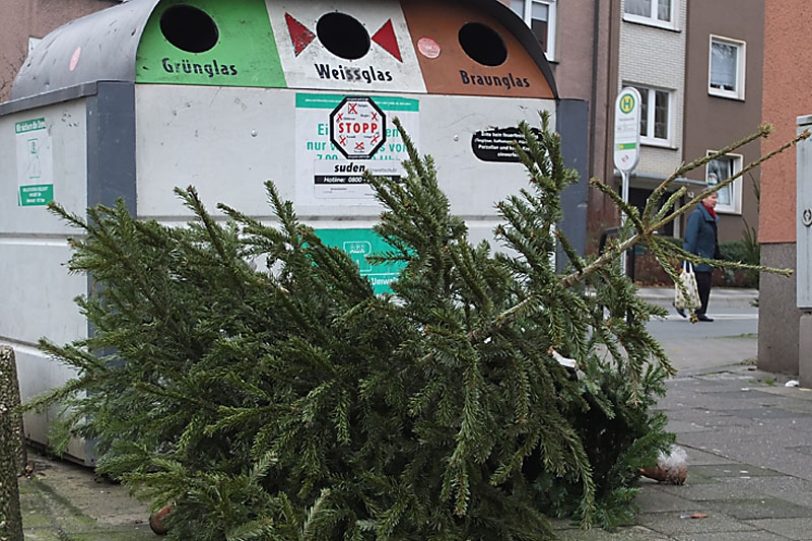 Christbaum-Entsorgung.