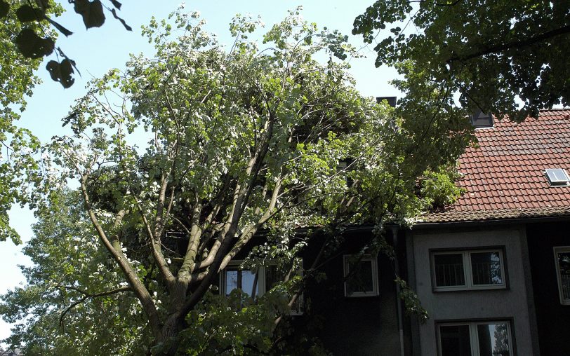 An der Goethestraße.
