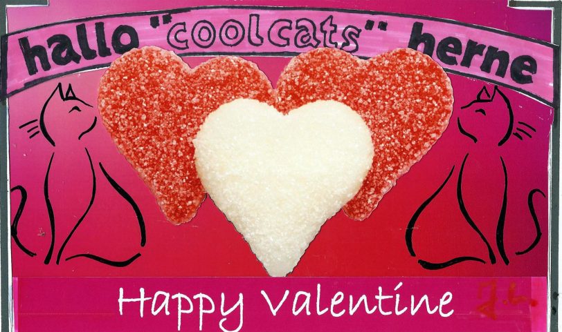 Cool Cats feiern die Valentine.