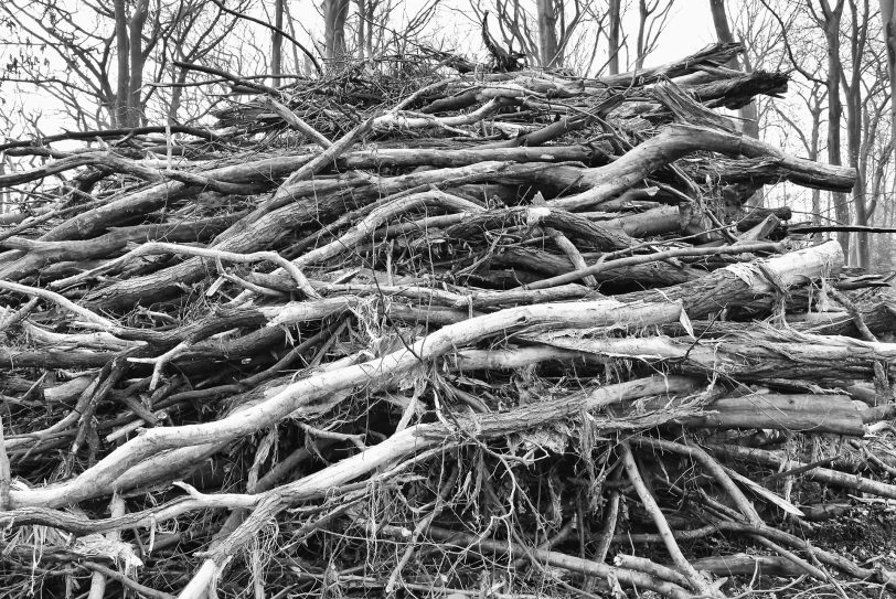 Stürme zerstörten die Wälder.