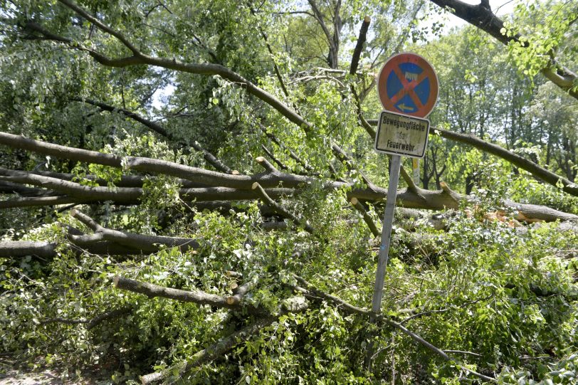 Sturmschäden in Herne.