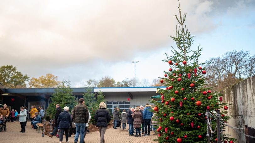 Wewole Adventsmarkt 2022. An zwei Tagen lockt der Wewole Adventsmarkt in die Gärtnerei an der Nordstraße.