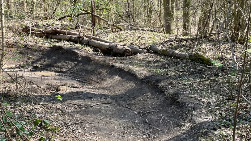 CDU prangert Waldzerstörung durch Mountainbikestrecken hinter der Hügelstraße an.