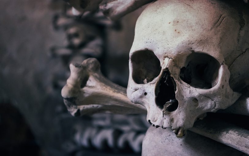 Totenköpfe, Gruseln und Gespenster: Zu Halloween 2025 haben wieder viele Anwohner ihre Häuser, Gärten und ganze Straßen schaurig dekoriert - hier gibt es eine Übersicht über verschiedene Standort (Symbolbild).